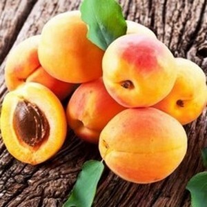 сорта абрикосов